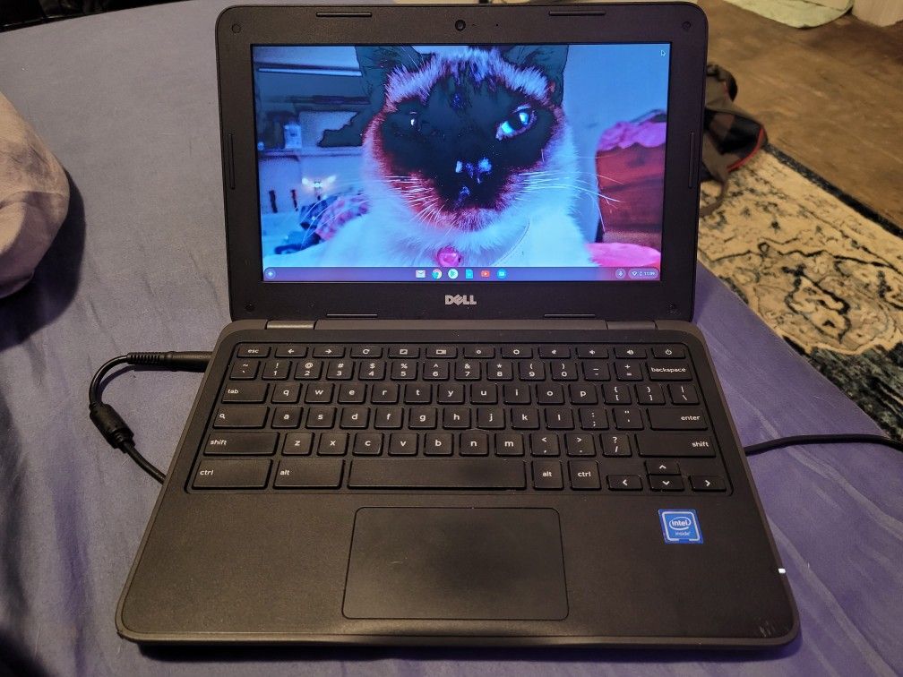 Dell Chromebook Laptop 11 3180