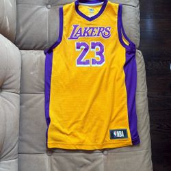 Youth Large Lakers LeBron James Jersey