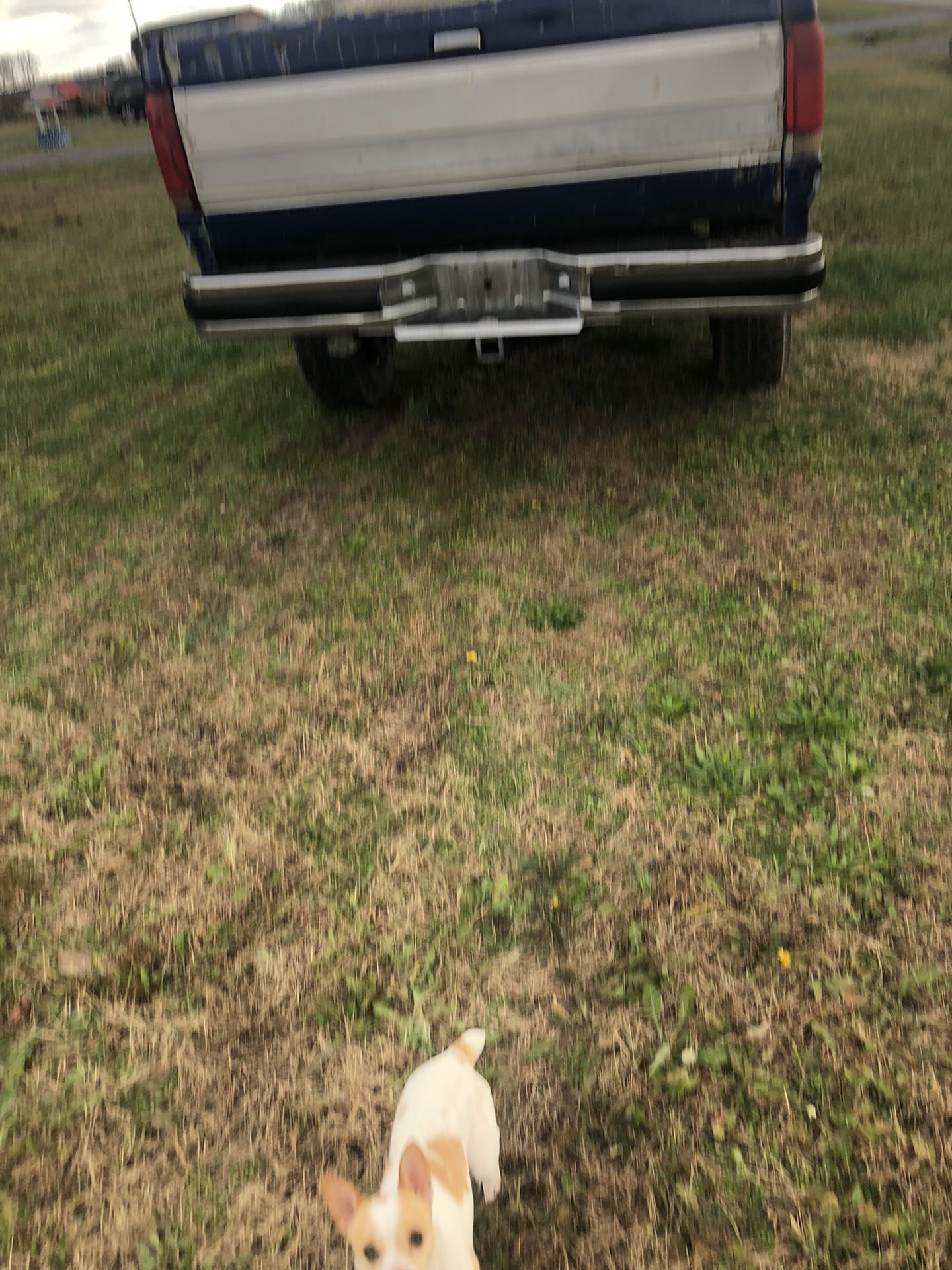 1989 Ford F-250