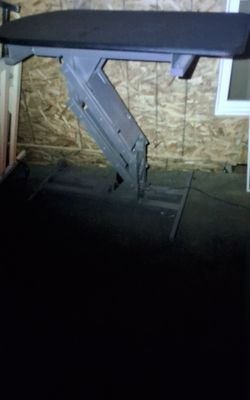 A professional grooming table that goes up and down