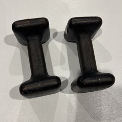 10lbs dumbbells 