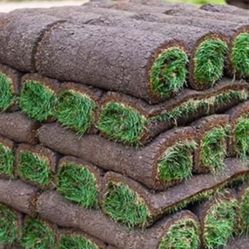 Best Time For Sod Installion