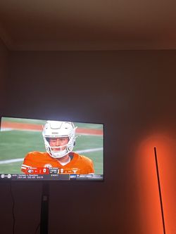 TV + Mount (50” Insignia 4k UHD Smart Fire TV w/ Floor TV Stand)