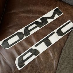 4th Gen Tacoma Tailgate Lettering 
