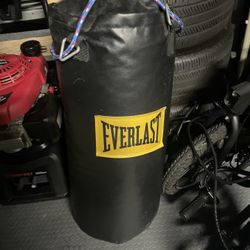 Punching Bag 