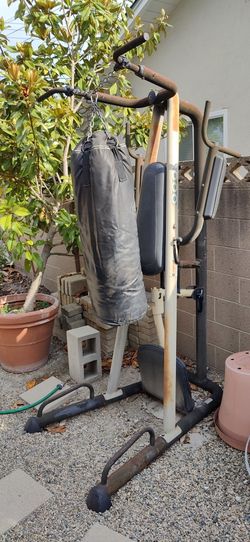 Pull-up and Dip bar with Century Heavy Bag