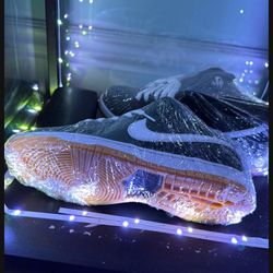 Nike SB