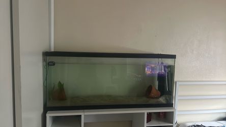 60 gallon tank comes with heater  pickup