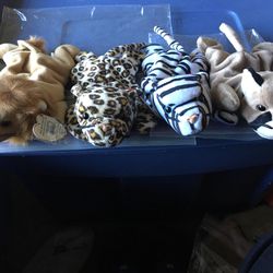 Beanie Babies- Wild Cats Lot Of 5 $50 OBO
