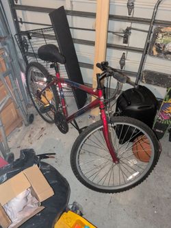 Roadmaster Mountain Bike Red