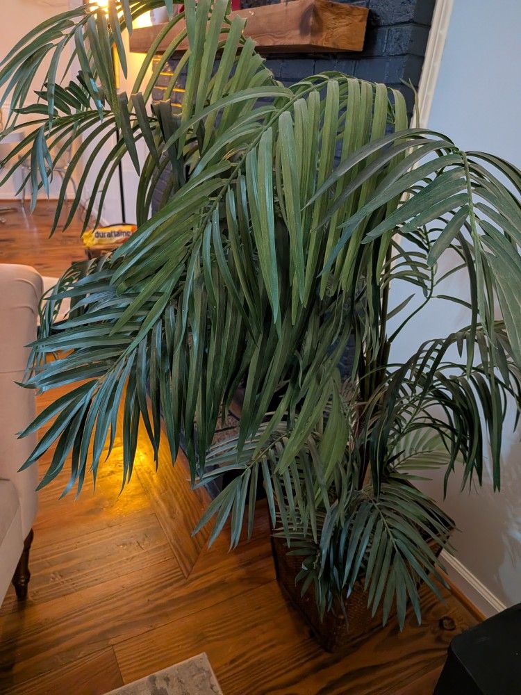 4.5ft Parlour Palm Decorative Plant In 14x14" Square Pot