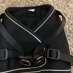Cat Harness