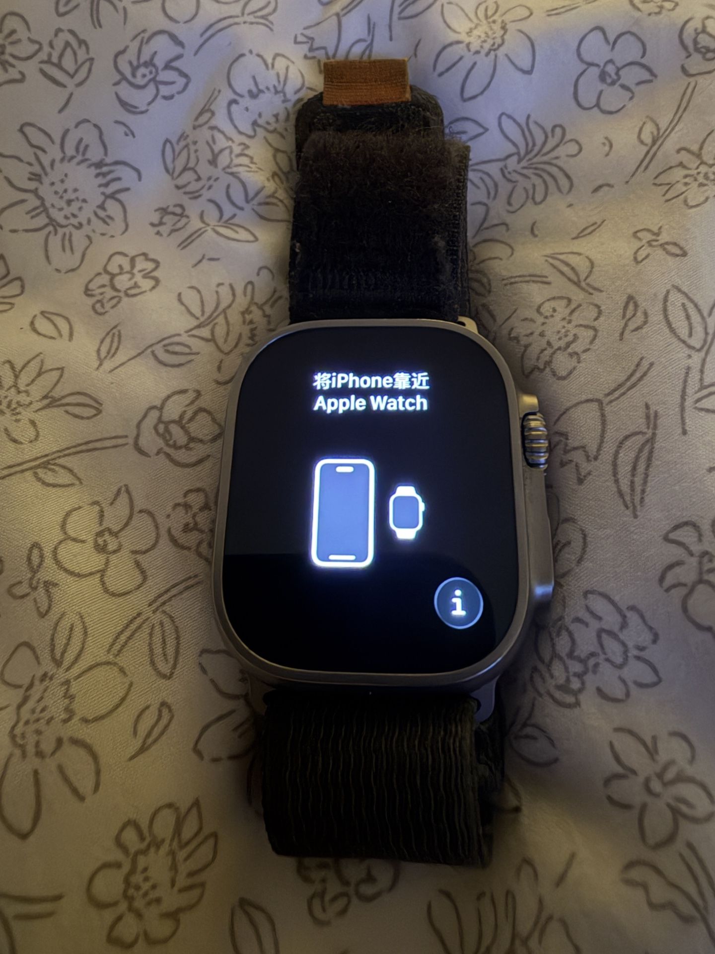 Apple Watch Ultra