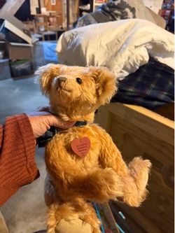Vintage Original Cranberry Mountain Bear
