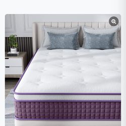 Regoss Queen Mattress 