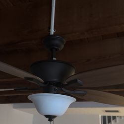 Two Ceiling Fans With Light In Brown