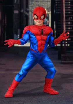 Spiderman Costumes