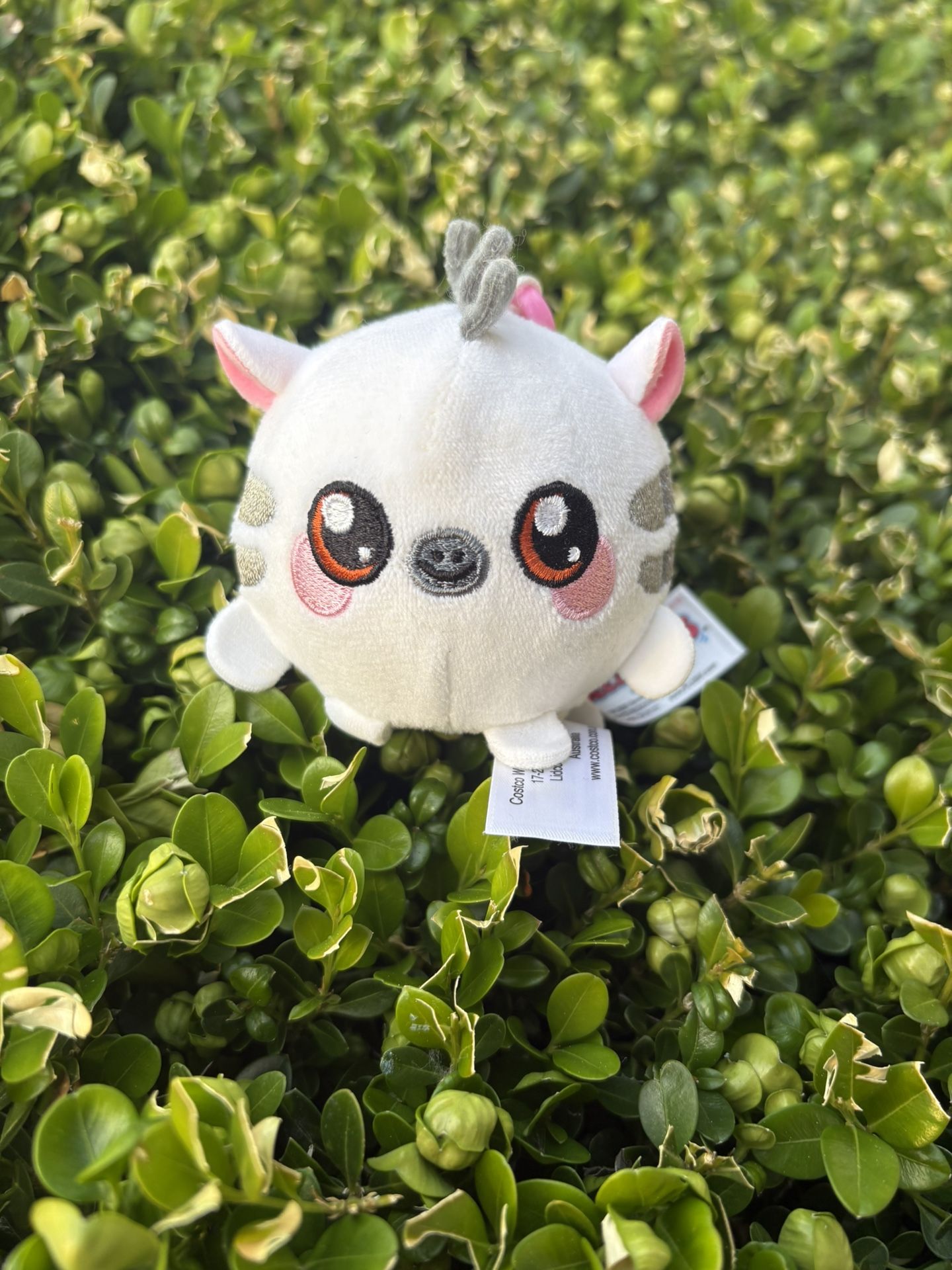 Plush