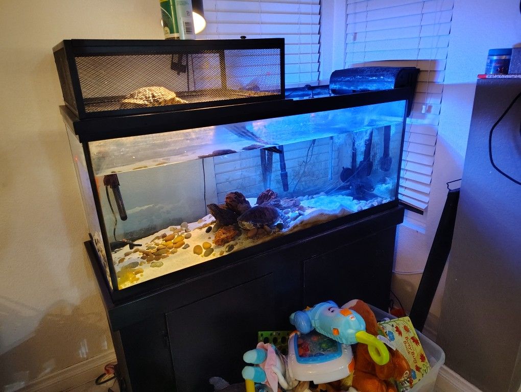 Fish Tank With Canister Fluval Filter