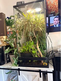 Reptile enclosure