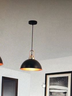 Black and Gold Dome Pendant Light