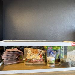 reptile tank bundle