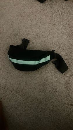Fanny Pack