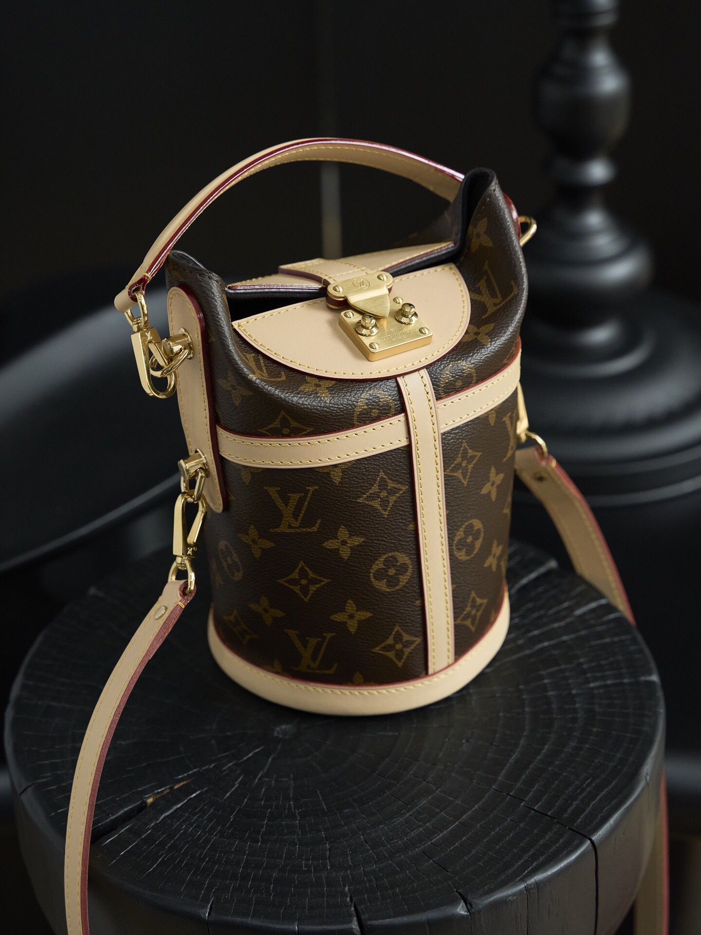 Women's Louis Vuitton Bag Luxury Bag With Dustbag