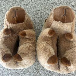 Cozy Capybara Slippers