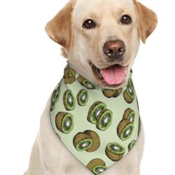 🥝 Tropical Kiwi Dog Bandana 🐾