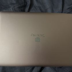 Rose Gold Gateway Laptop