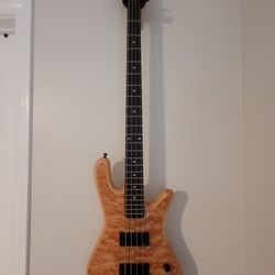 Spector Bass Guitar