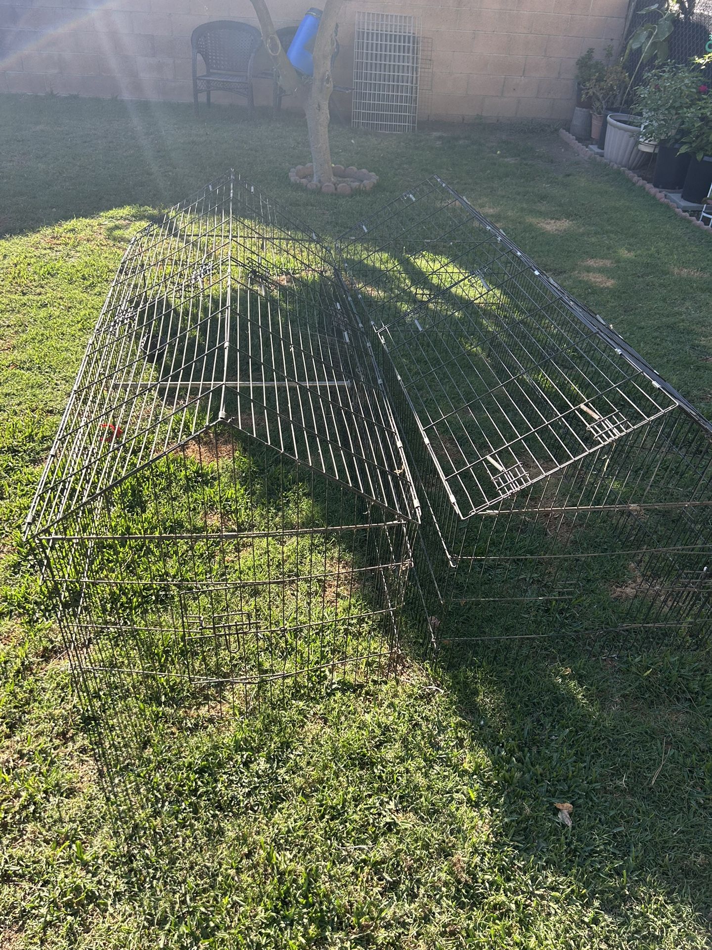 Cages