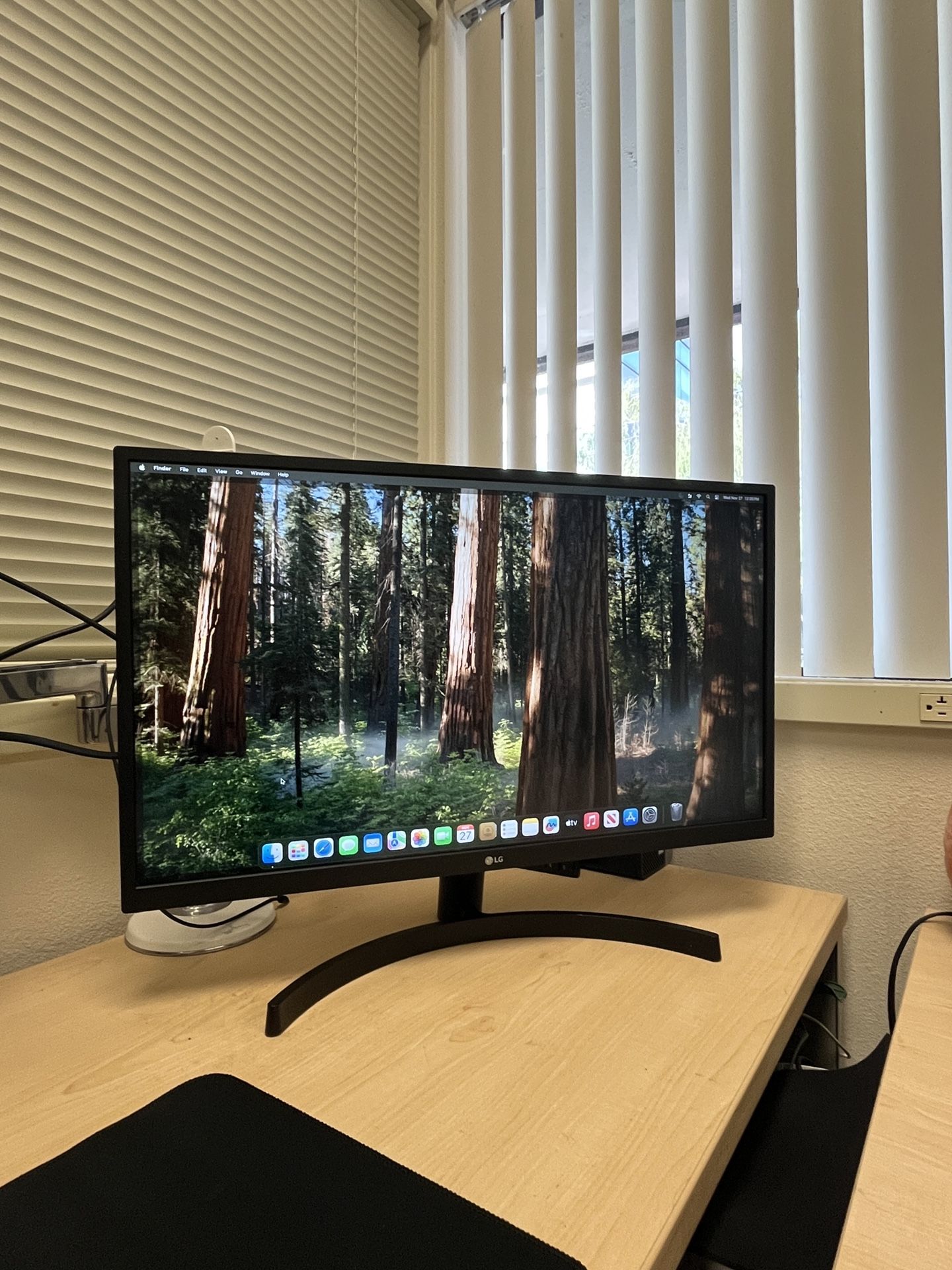 LG 27” 4K IPS HDR Monitor