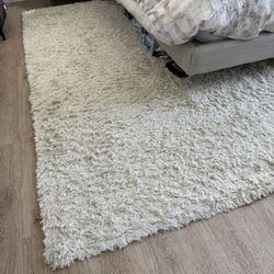 Area shag rug- 8x10
