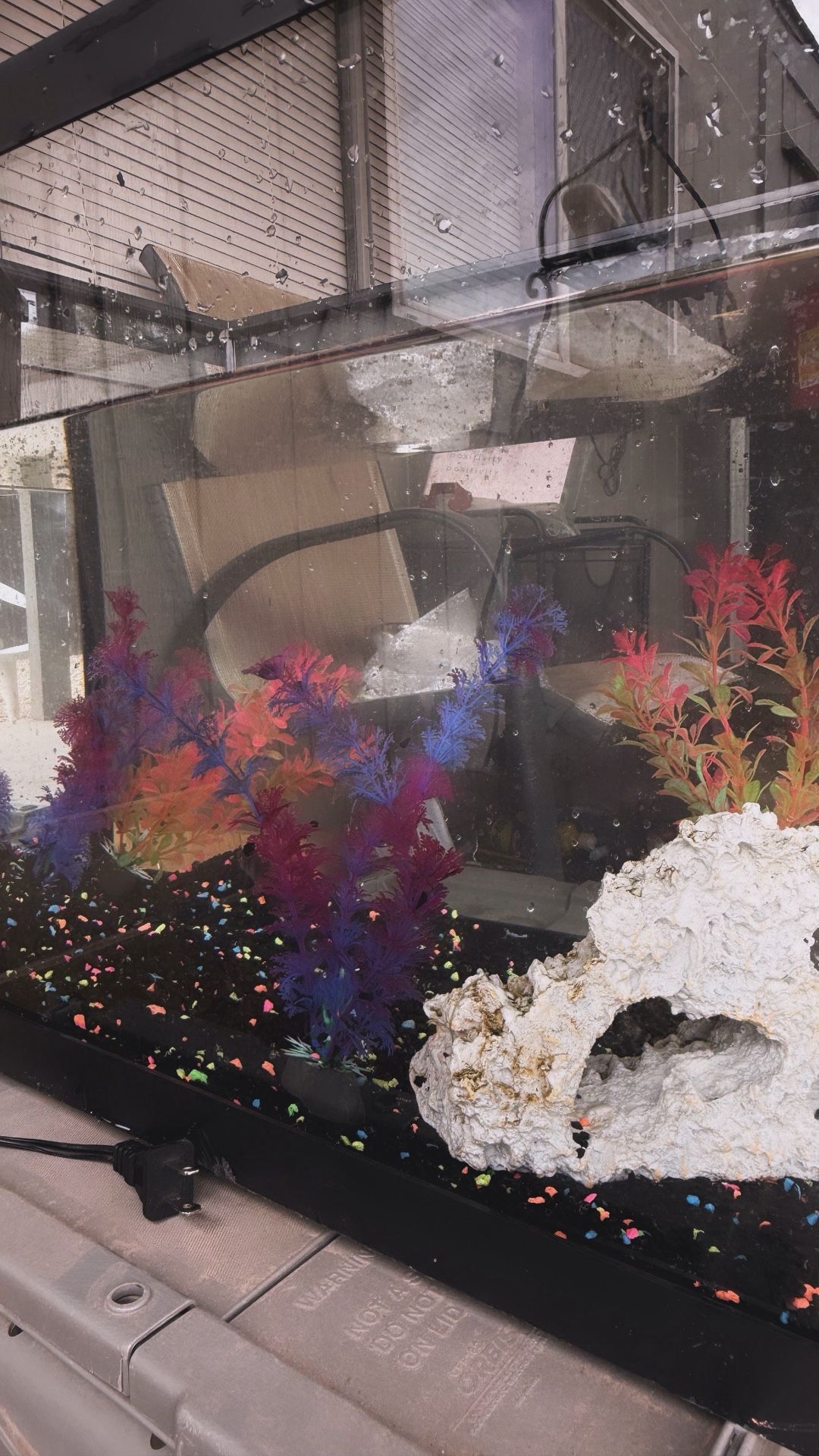 Fish Tank 
