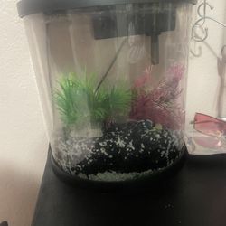 Fish Tank With Food 