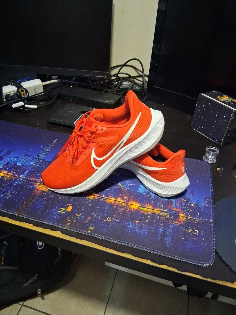 Nike Air Zoom Pegasus 39