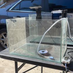 Fish Tank 