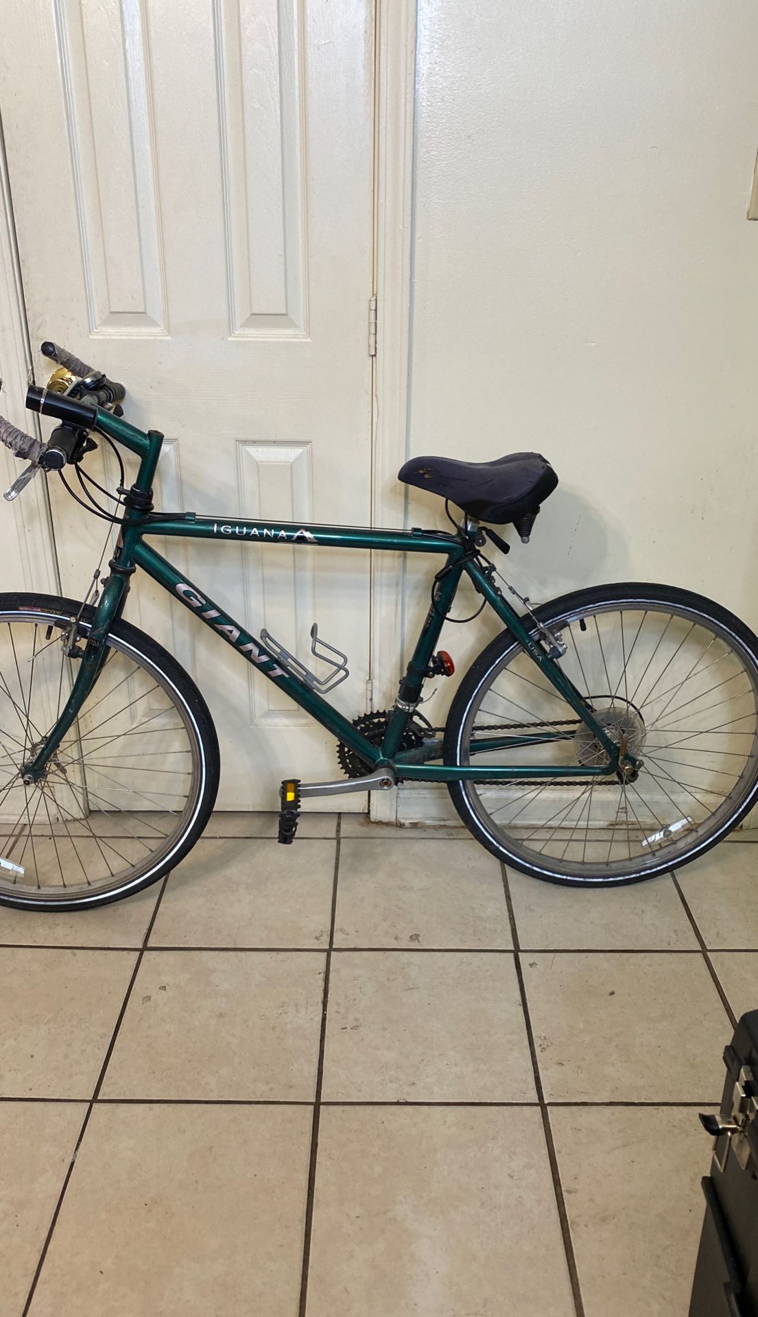 Giant iguana bike