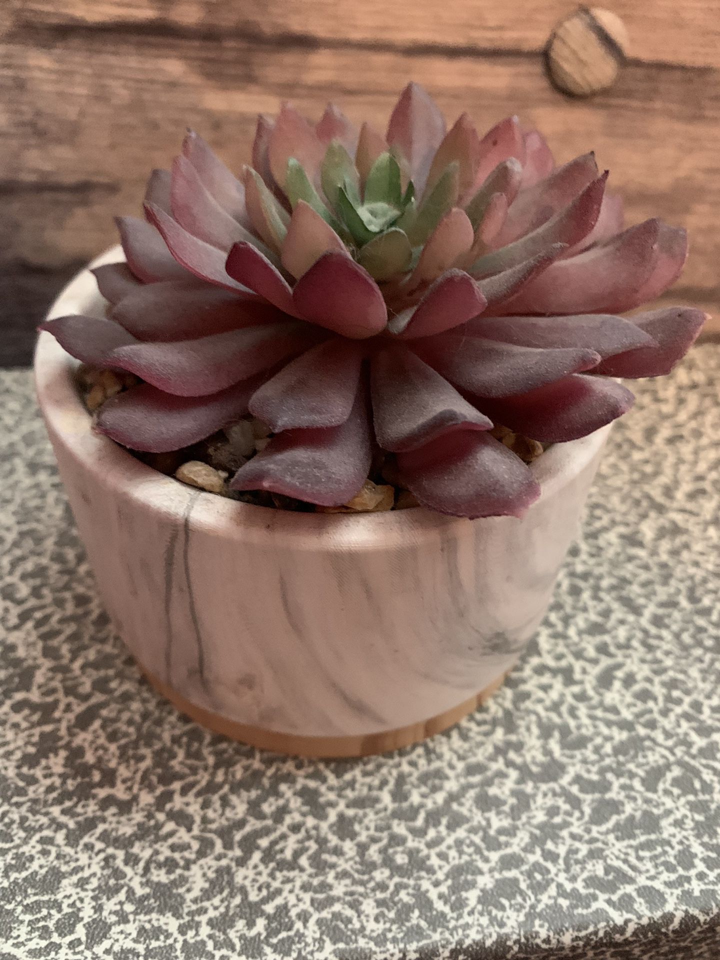 Large Faux Succulent In White Marble Like Base W/ Wood Accent Bottom