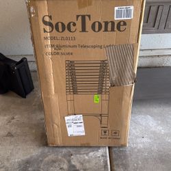 Telescoping Ladder