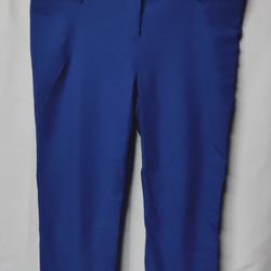 Blue Stretchy Pants