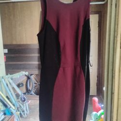 Forever 21  Dress 