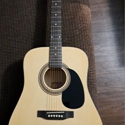 Beautiful Rogue Guitar Like New