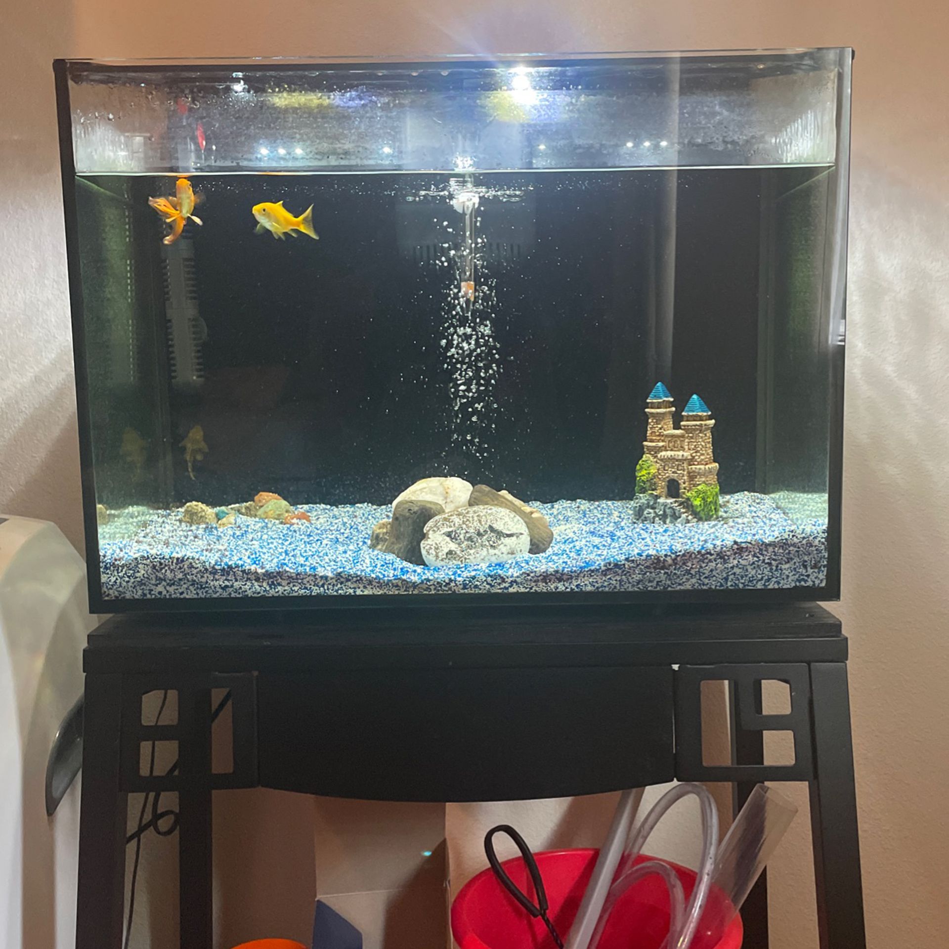 20 Gallon Fish Tank With Stand Filter Heater And Fish!