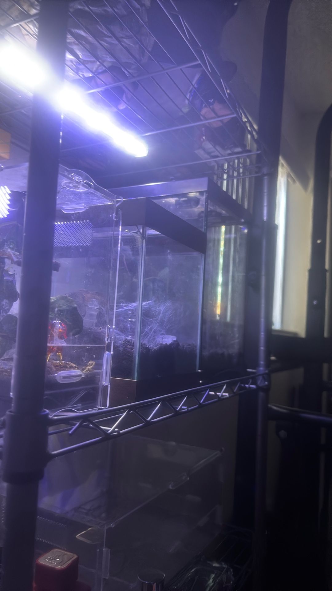 terrarium