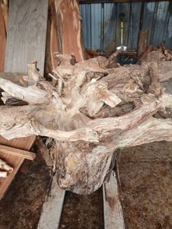 ROOT COFFE TABLES AND MORE