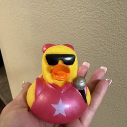 Rubber Duckie Collection/Music Artist 