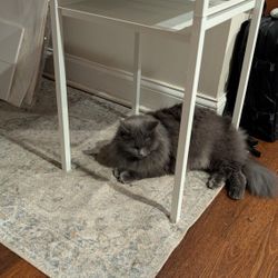 IKEA  Nyboda Side Table